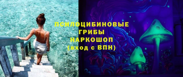 бошки Армянск