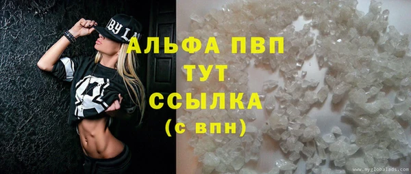 сатива Арсеньев