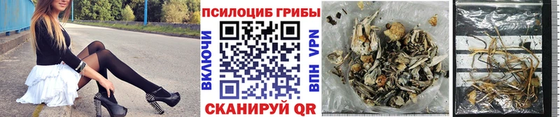 Галлюциногенные грибы Magic Shrooms  Осинники 